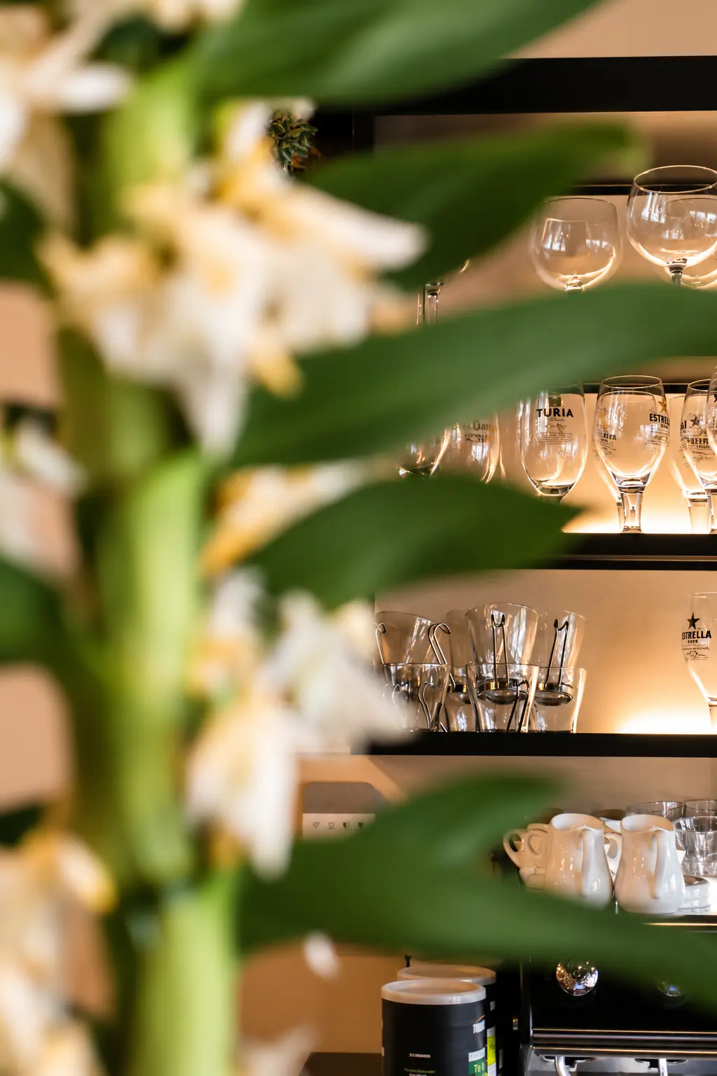 Estantería de copas iluminada tras unas flores en Rubí